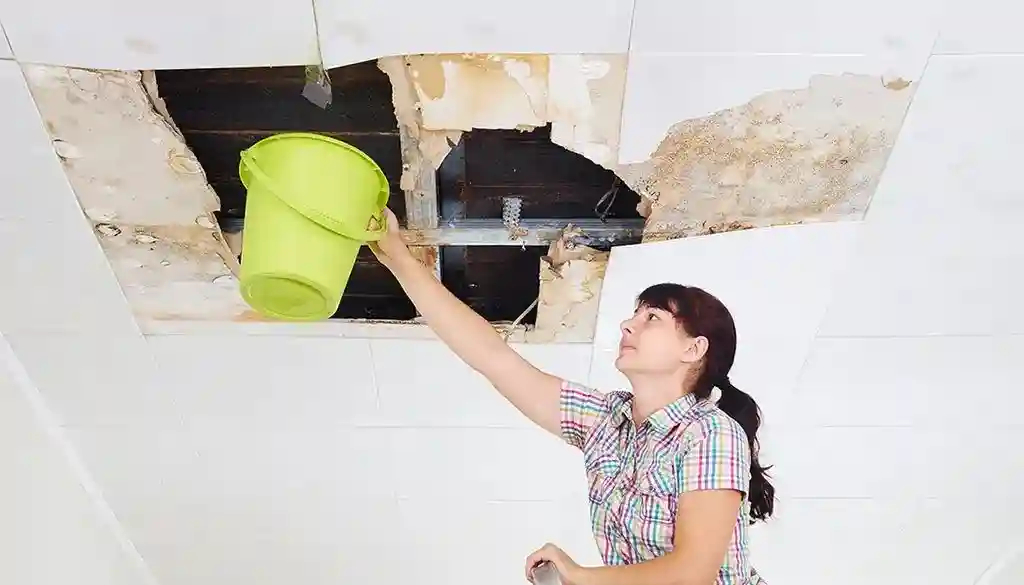 WDR PRO’s - Water Damage Restoration Service